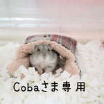 専用ページ♡