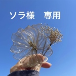 ソラ様　専用