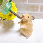 お水ペロペロ *キンクマハムスター* 10cm 羊毛フェルト マスコット