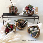 【現品限り一点もの】不揃いなブッタナッツたち♡ Xmasアレンジ　