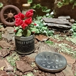 ミニチュアの花「赤いシクラメンの丸缶」