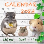 2023 CALENDAR ☆chimu☆gumi☆pal☆