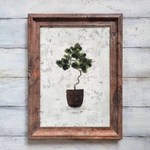 sale　アンティーク風の額縁　観葉植物の絵　