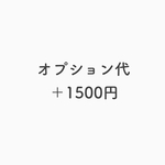 オプション代 ＋1500円