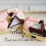 ガトーショコラとストロベリーチョコのピルケース