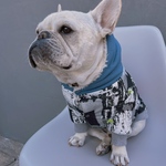 オーダー犬服 リバーシブルボアアウター スクラップ柄 モノクロ