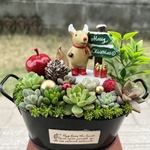 ★送料無料★♡そのまま飾れる♡クリスマス☆彡トナカイの多肉植物寄せ植え╰(*´︶`*)╯♡
