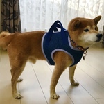 18ron様専用ページ