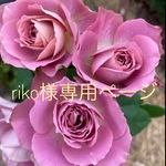 riko様専用ページ