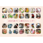 2023年 鳥づくし壁掛けカレンダー 予約販売 インコ 小鳥 カレンダー 2023 壁掛け 