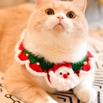 猫襟 ワンちゃん襟 首輪 カギ編み  犬襟 クリスマス サンタクロース　つけ襟
