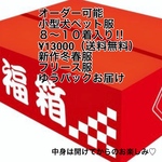 オーダー可能☆ペット服福箱📦🎍8〜10着