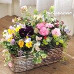 お花いっぱいアレンジメント植え