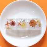 色落ちしない花　ﾎﾟｰﾁｻｲｽﾞのｺﾝﾊﾟｸﾄｹｰｽ/ｱｸｾｻﾘｰｹｰｽ/ﾋﾟﾙｹｰｽ　旅行や持ち運びに便利な小物入れ　オレンジ