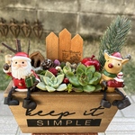 ★送料無料★♡そのまま飾れる♡クリスマスの多肉植物寄せ植え╰(*´︶`*)╯♡