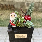 ★送料無料★♡そのまま飾れる♡クリスマス☆足ぶらサンタの多肉植物寄せ植え╰(*´︶`*)╯♡