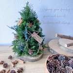 2022 Christmas tree green 〈プリザーブド〉