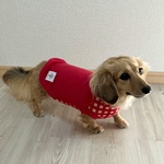 再販🐶犬服【Red×チェック柄🍎タンクトップ】