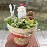 ★送料無料★♡そのまま飾れる♡リメ鉢♬ひつじちゃんの多肉植物寄せ植え╰(*´︶`*)╯♡