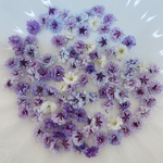 パープル系 かすみ草ドライフラワー100粒