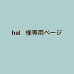 hal. 様専用ページ　シーグラスアクセサリー