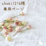 【chobi1216様専用ページ】