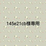 145e21cb様専用、ミニチュアの花「ベリーのブロック2&ブルーベリーのコンテナ」