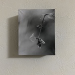 [photo作品] 朽葉 - in a bouquet - 【1点もの】