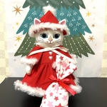 こはるちゃん用　🎄クリスマス　サンタコスチューム2022