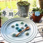 専用オーダーページ