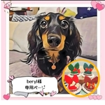 beryl様 専用ページ【送料無料】犬用 クリスマスニット帽