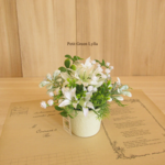 Petit Green Arrange 528
