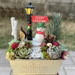 ★送料無料★♡そのまま飾れる♡クリスマス☆彡雪だるまの箱庭風多肉植物寄せ植え╰(*´︶`*)╯♡