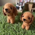 羊毛フェルト♡とっても可愛い♡仲良しダックスちゃん♪