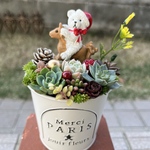 ★送料無料★♡そのまま飾れる♡クリスマス☆彡木馬に乗ったクマちゃんの多肉植物寄せ植え╰(*´︶`*)╯♡