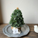 白樺オーナメント付き Christmas tree 