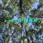 a-san1121様専用