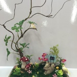 きのこの森