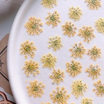 【押し花素材】レースフラワー　着色　黄色系　pressed flowers