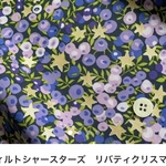 専用ページ