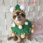犬クリスマス帽子とマントセット我が子をクリスマスツリー🌲に