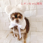 もこもこ ふわふわ🐻‍❄️白くまさん