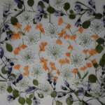 押し花 素材 レースフラワー他小花セット１　💐