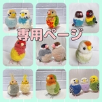 【risoky様 専用ページ】