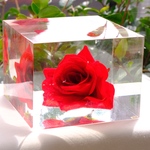 ❤️一点限り❤️愛の波動が広がる🌹La Vie en Rose🌹ラビアンローズ🌹バラのミニワーク付き