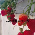 raさま専用ページ