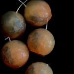 皆既月食