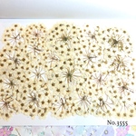 ♡new♡作家様必見♡ 人気のコデマリがいっぱい♡押し花セット♡