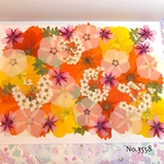 ♡new♡作家様必見♡押し花MIXセット♡押し花セット