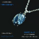📹️動画ｱﾘ✨ブルーピーターサイト/No,22✨Silver925Top✨Jewelry天然石ネックレス✨